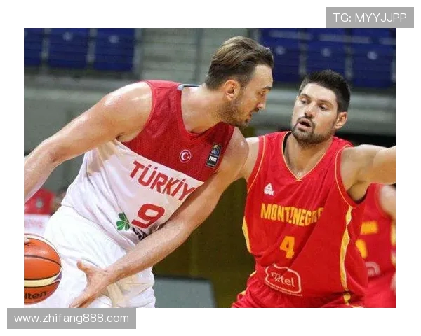 尼古拉武切维奇的艺术旅程与对现代文化的影响探讨